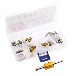 JTC-6250 - Набор золотников для кондиционера (R12/R134A 33шт. FORD, BMW, CITROEN, HYUNDAI, MERCEDES) JTC - 34 золотника в комплекте

Типы золотников:

R12 x 10
R134a x 5
Ford/Citroen x 4
Hyundai x 4
R134a M8 x 4